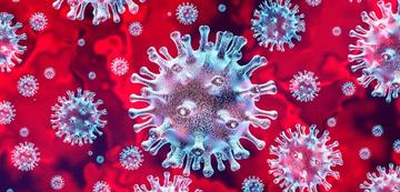 Virus virus
